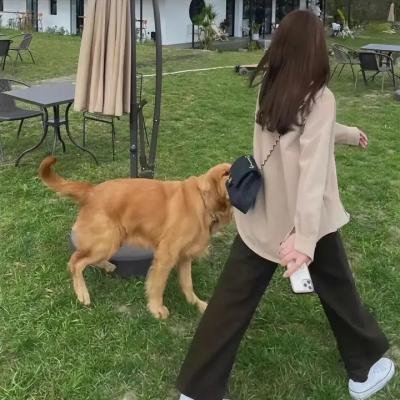两个阿尔弗雷德